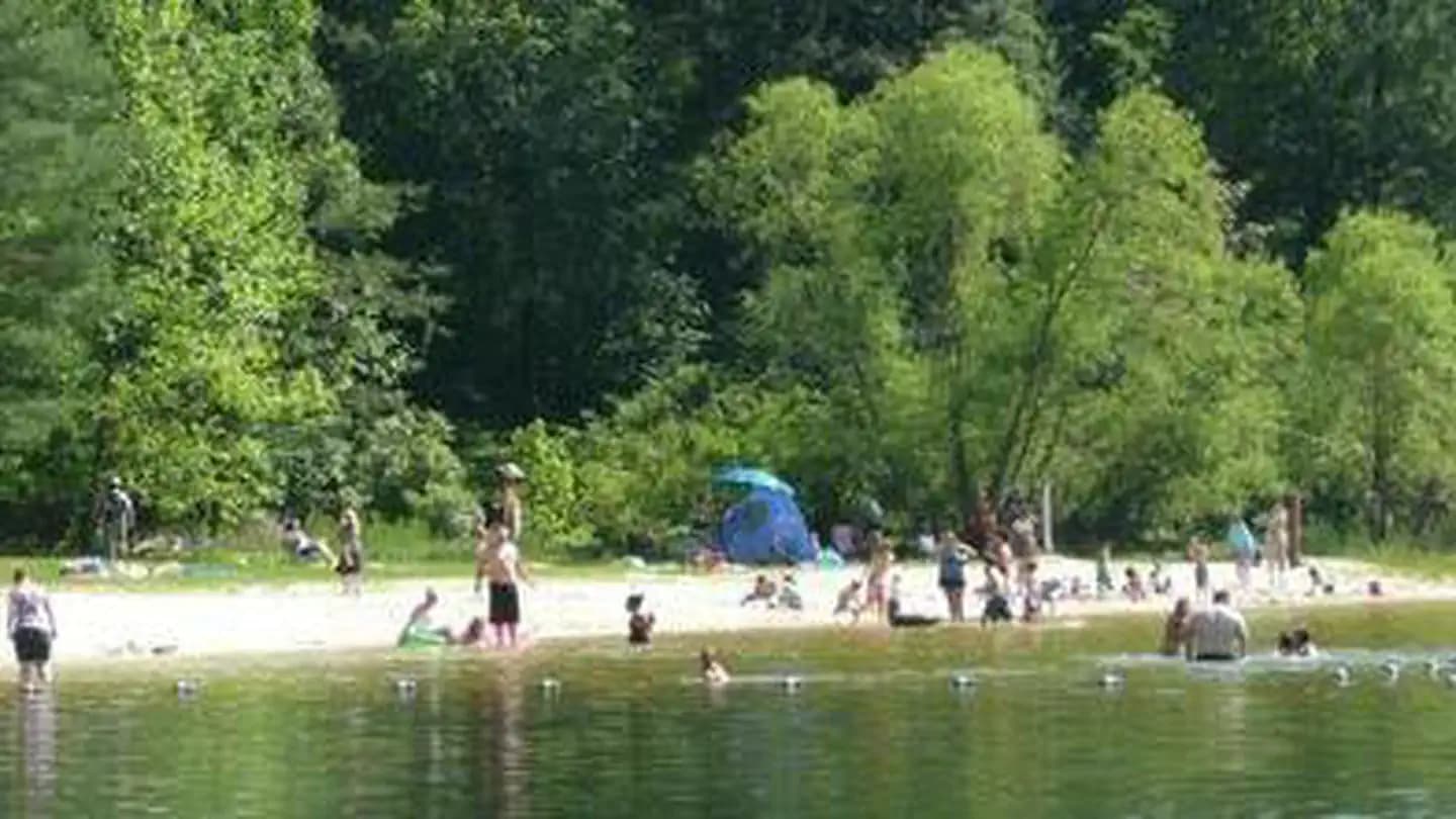 Trout Pond Recreation Area campground in West Virginia