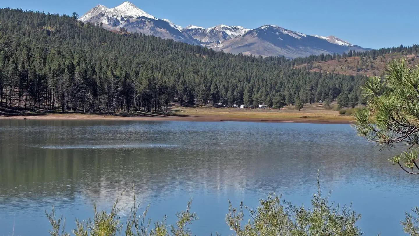 BUCKEYE RECREATION AREA (CO) campground in Colorado