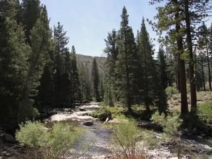 ROBINSON CREEK SOUTH campground in California