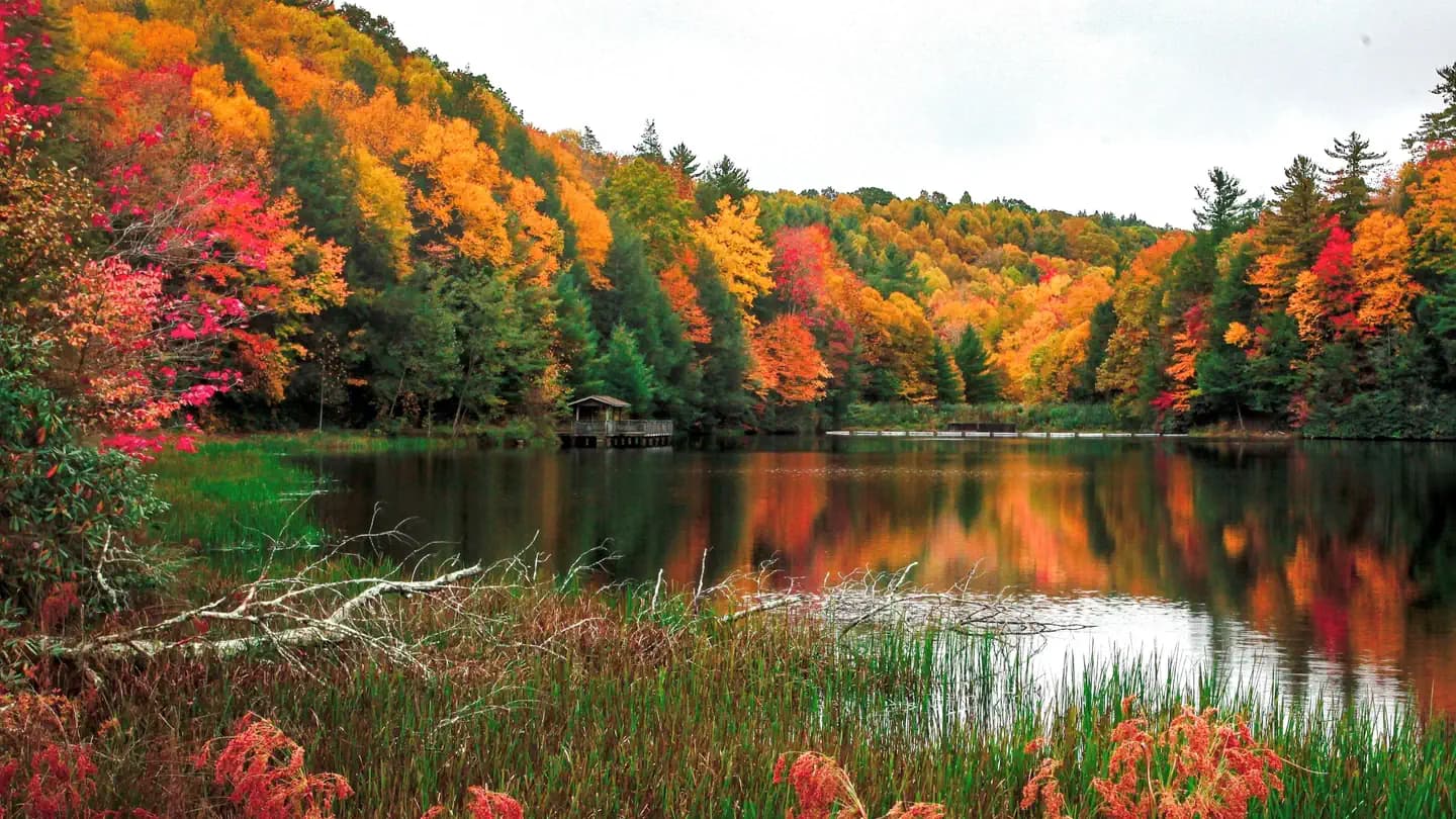 BEARTREE campground in Virginia