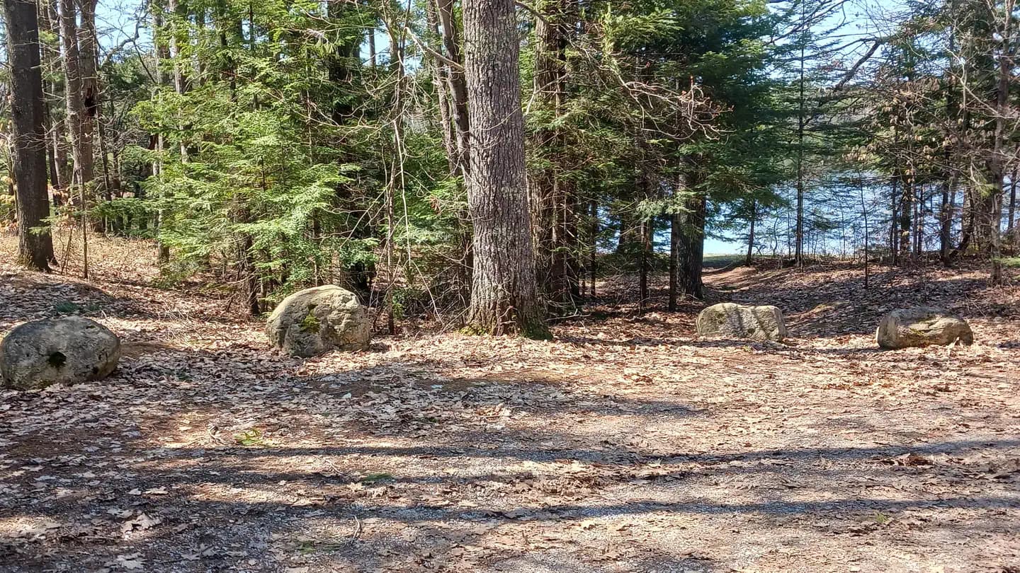 Little Bass Lake Campsites campground in Michigan