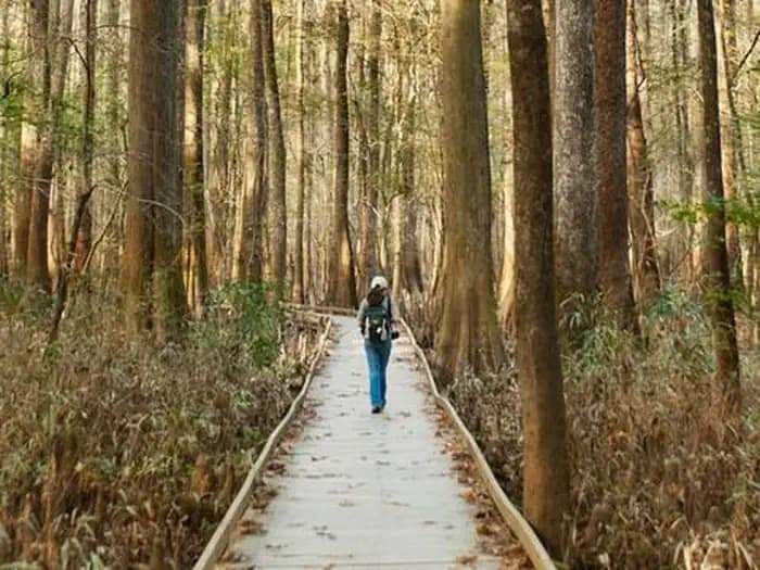 Bluff Hike In Camping campground in South Carolina