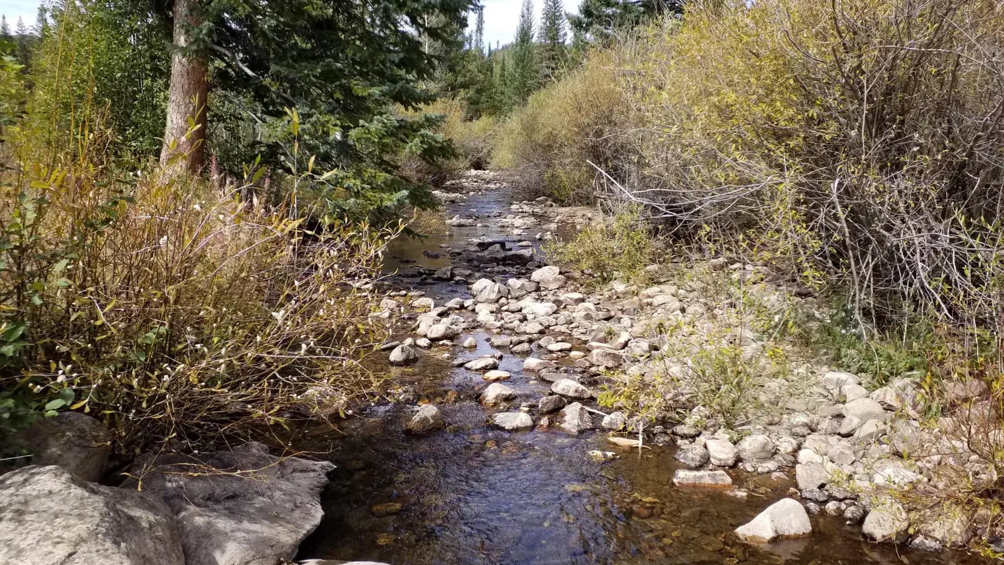 Pine Campground (WY) campground in Wyoming