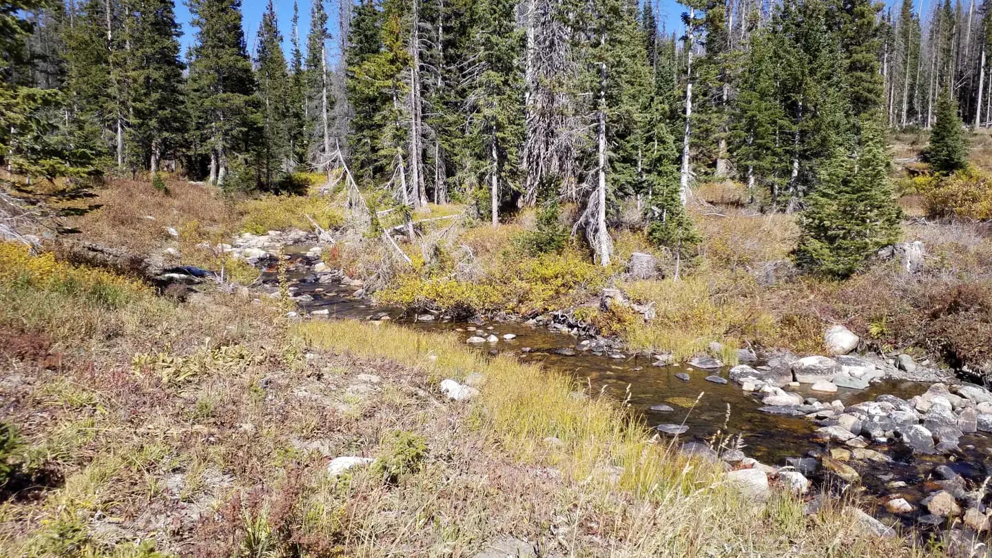 Nash Fork campground in Wyoming