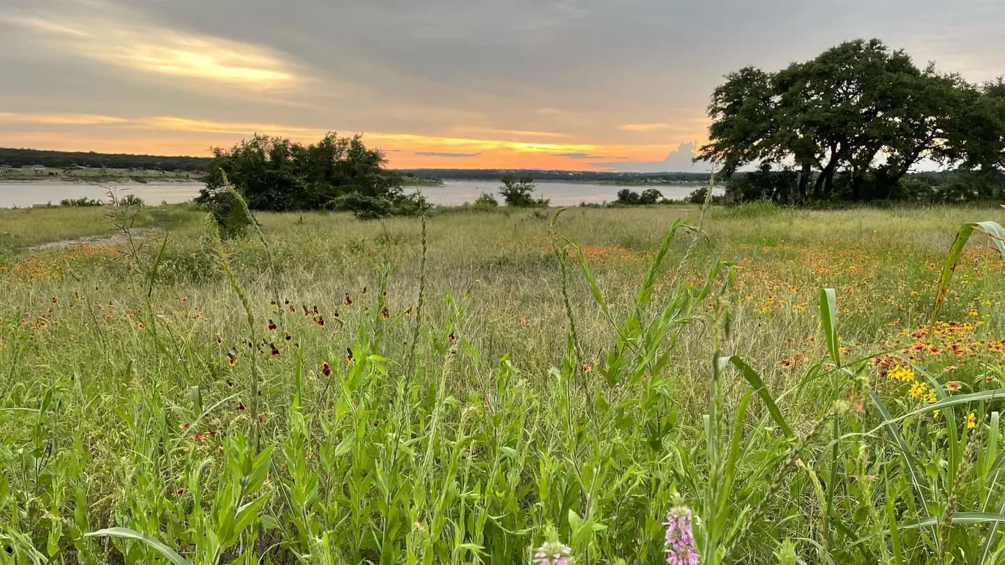 JIM HOGG PARK campground in Texas
