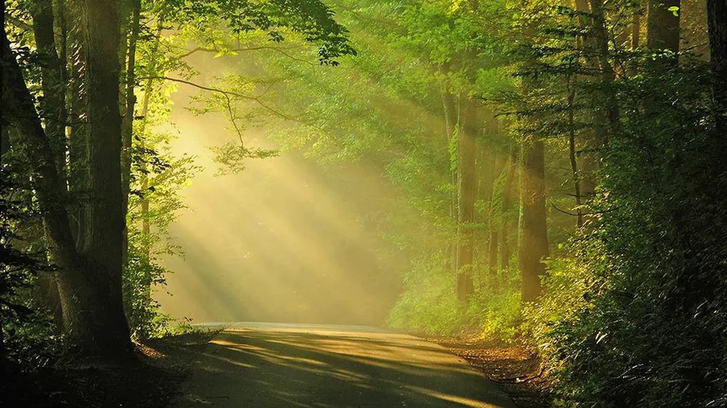 ROUND BOTTOM HORSE CAMP campground in North Carolina