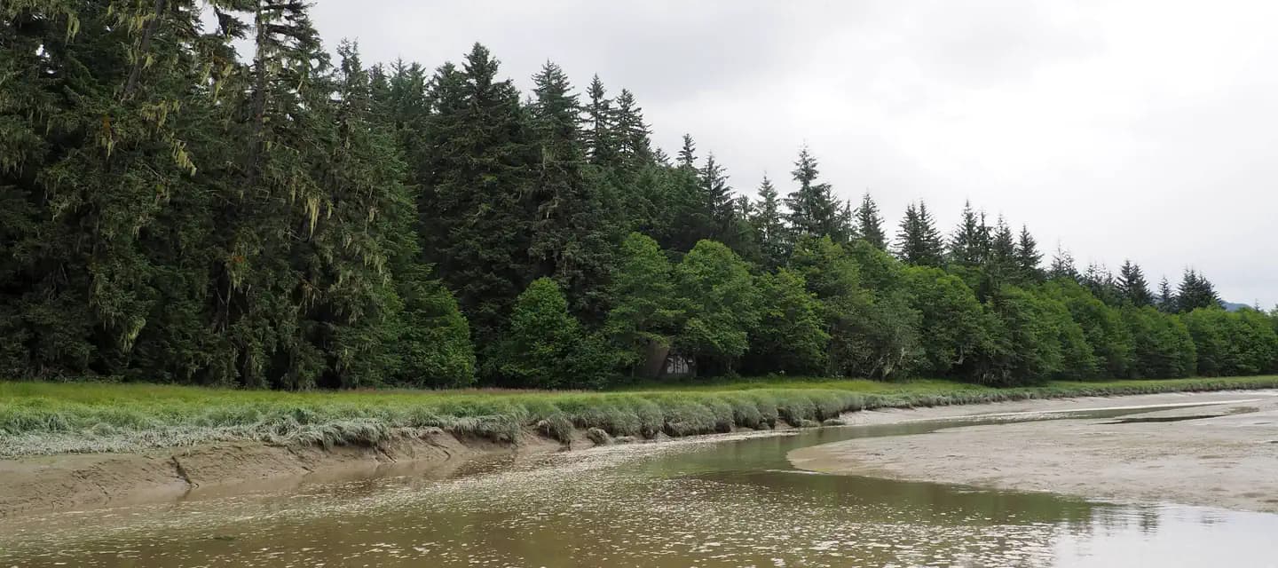 MALLARD SLOUGH CABIN campground in Alaska