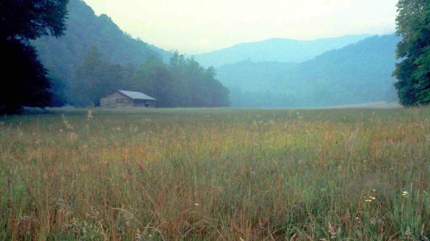 CATALOOCHEE HORSE CAMP campground in North Carolina