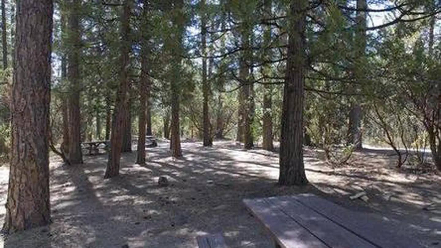 CRANE VALLEY campground in California