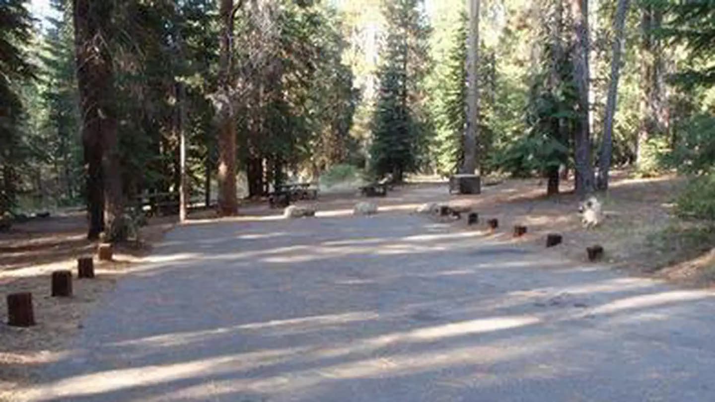 KINNIKINNICK campground in California