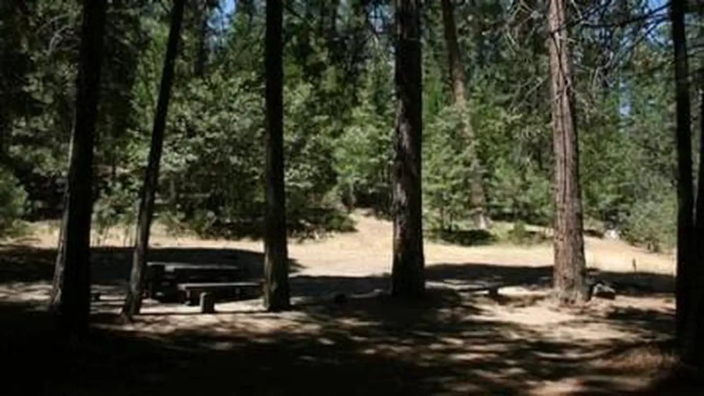 Rock Creek (Sierra National Forest, CA) campground in California