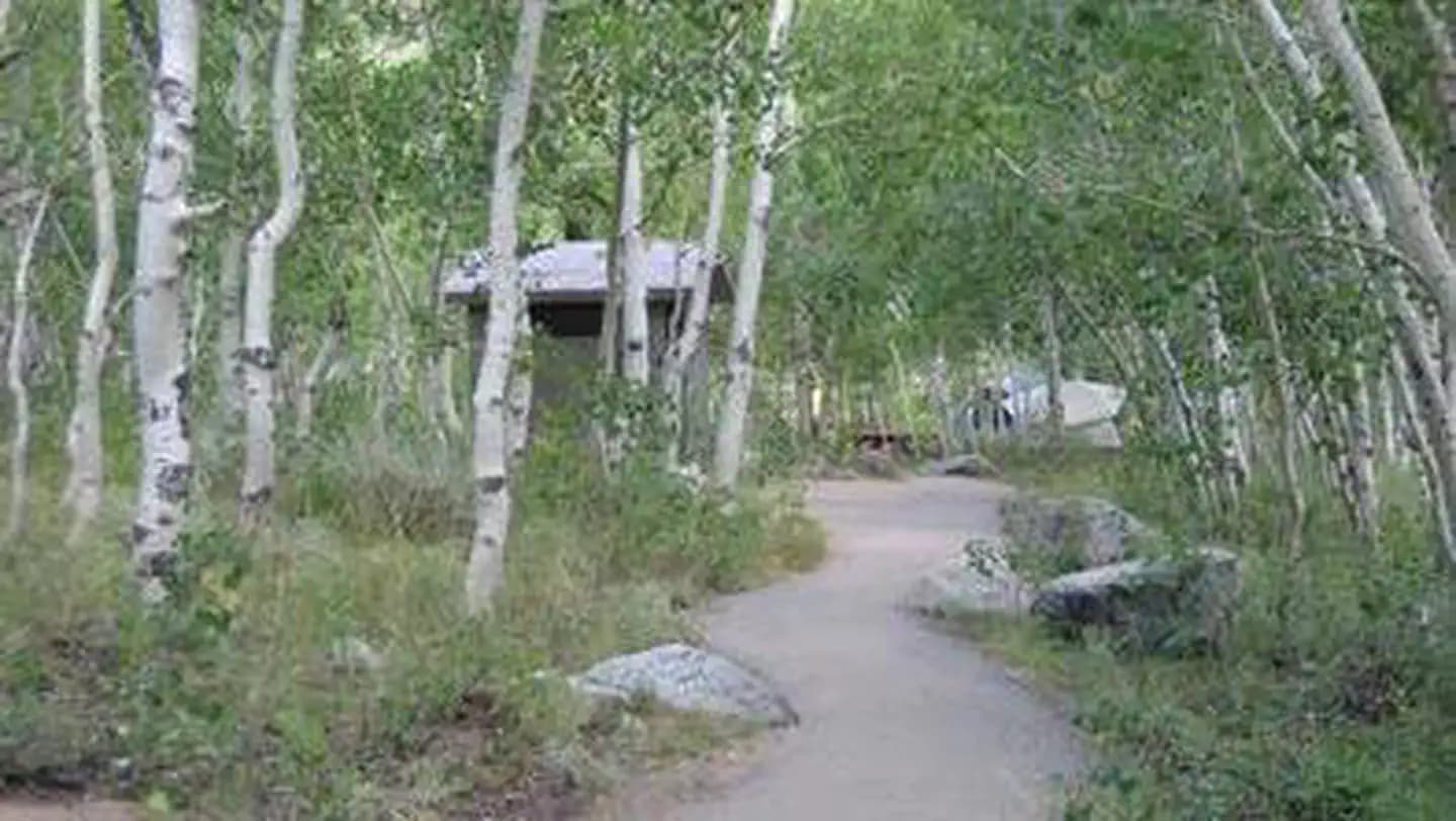 TABLE MOUNTAIN (INYO) campground in California