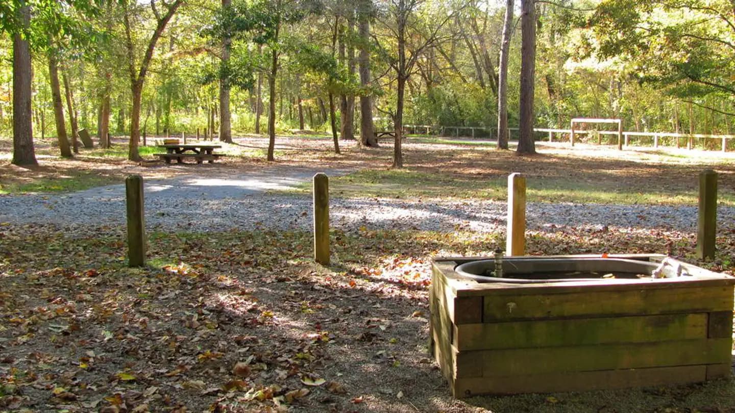 Cottonwood Patch Campground campground in US