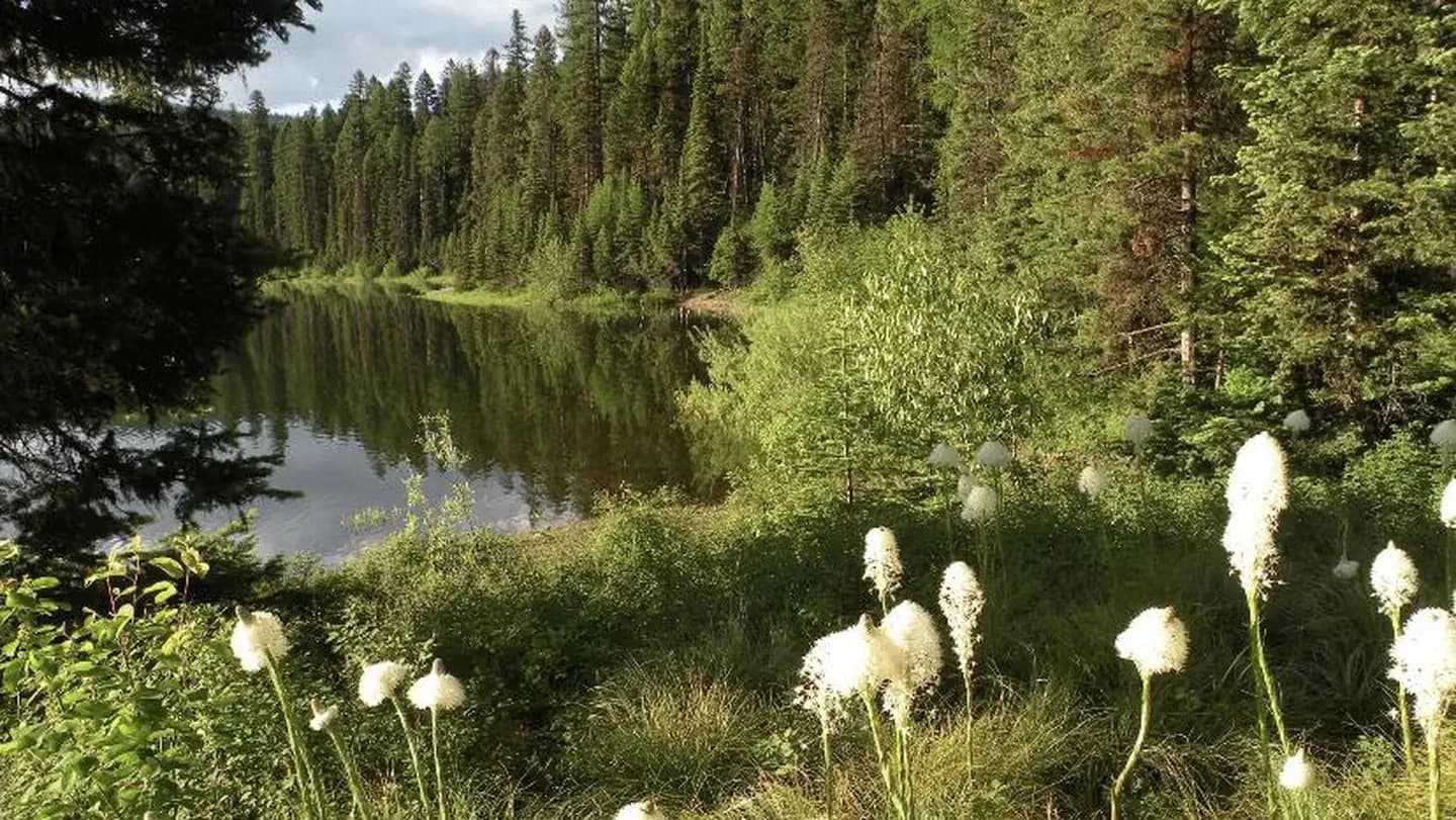 LAKE INEZ POINT 6 (GROUP CAMP SITE) campground in Montana