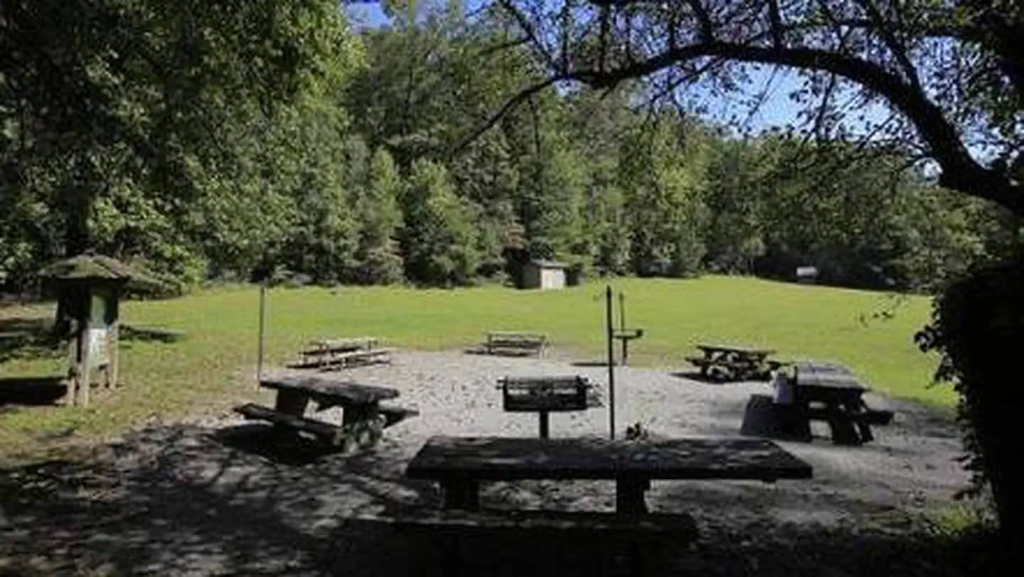 COVE CREEK LOWER GROUP CAMP campground in North Carolina