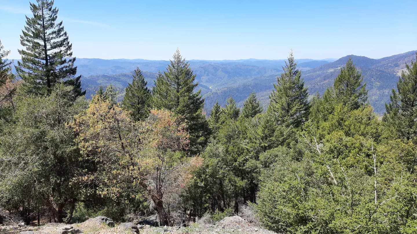 PINE MOUNTAIN LOOKOUT campground in California
