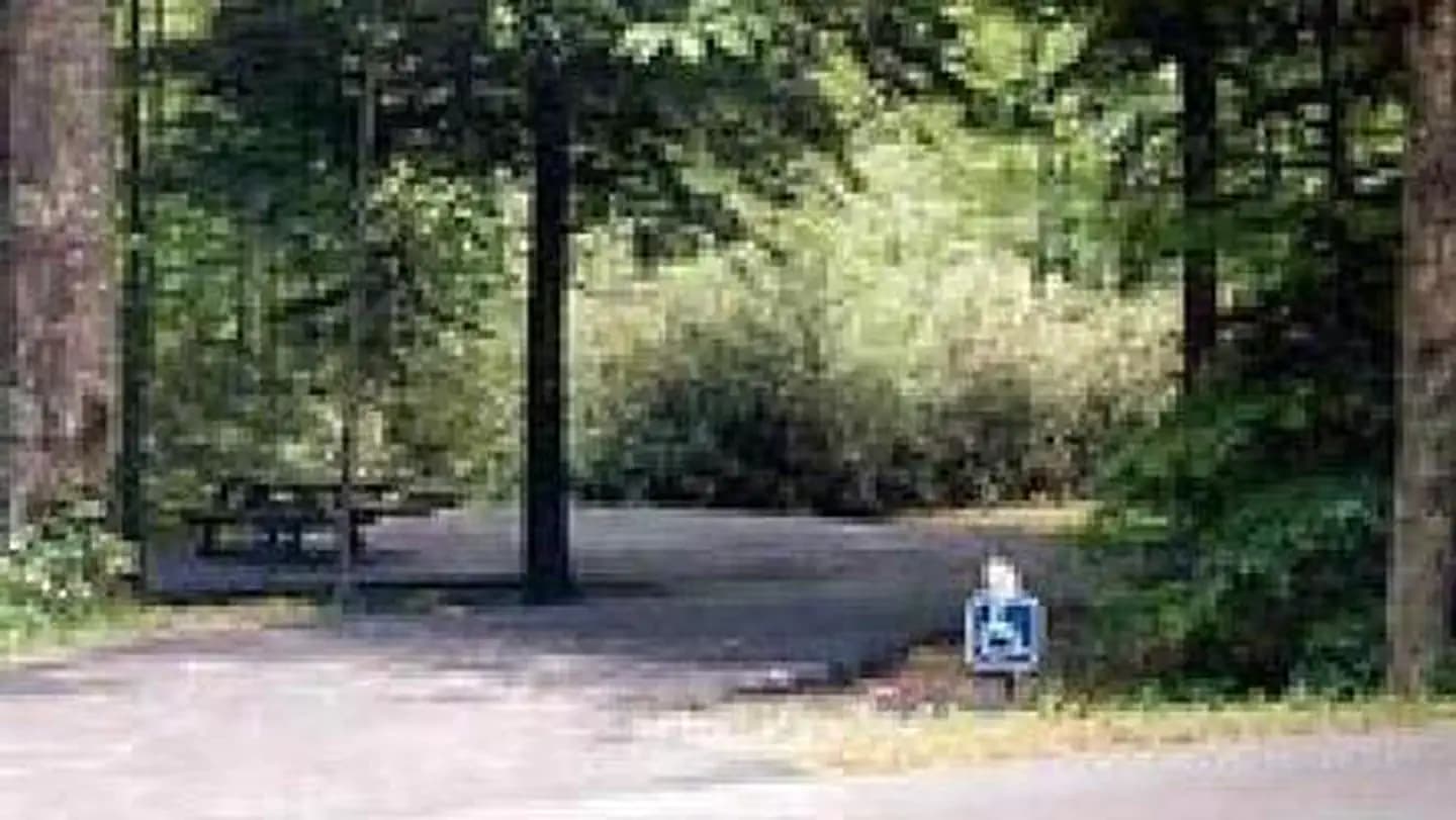 GRINDSTONE campground in Virginia