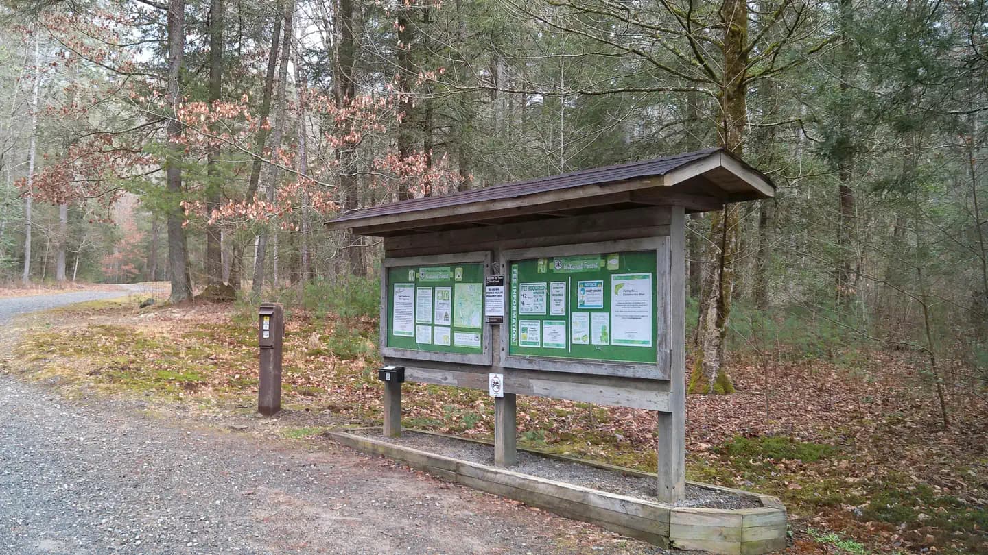 Upper Chattahoochee River Campground campground in Georgia