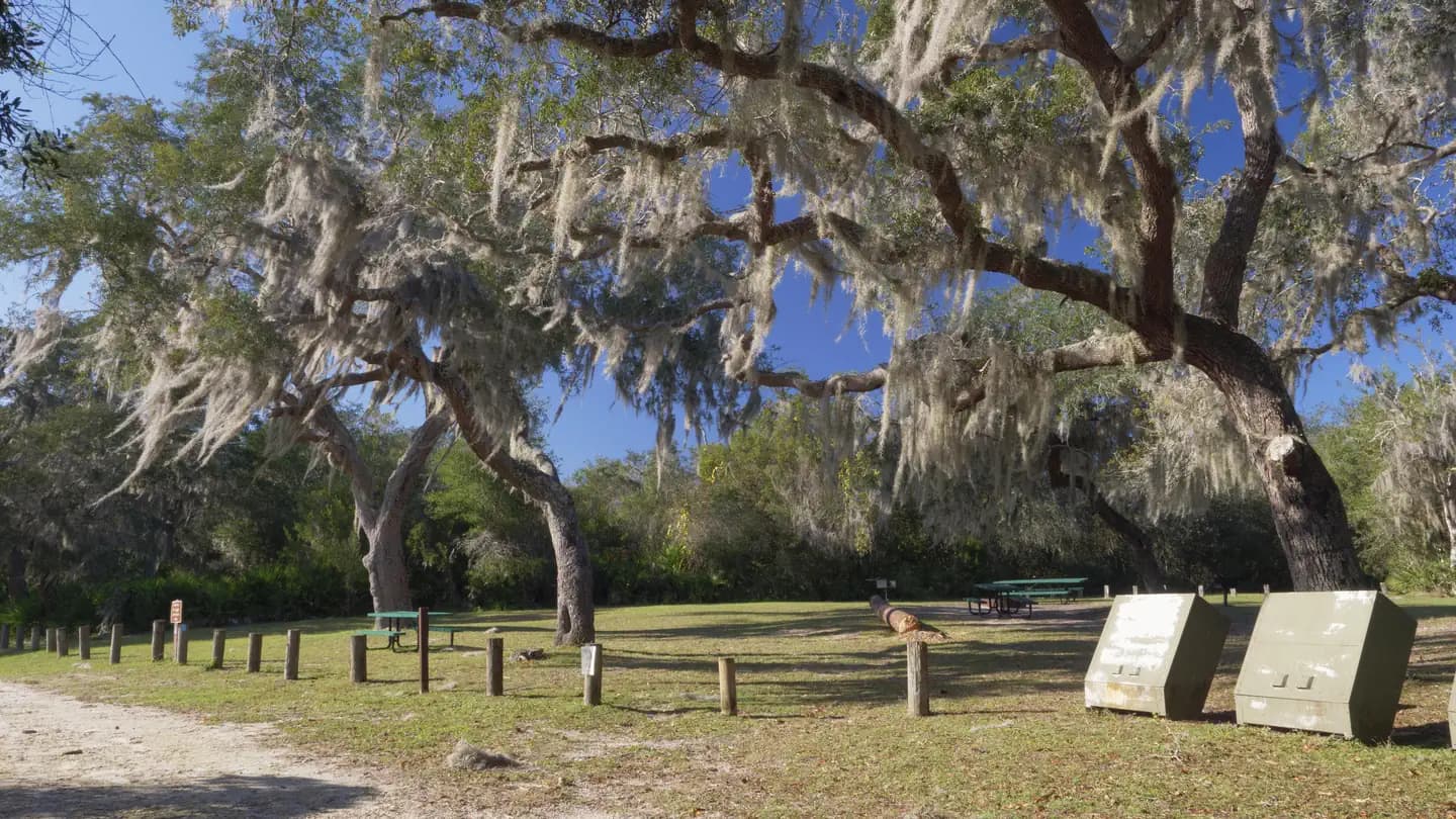 BUCK LAKE GROUP CAMPGROUND campground in Florida