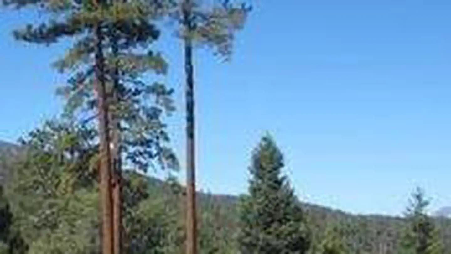 SKYLINE campground in California