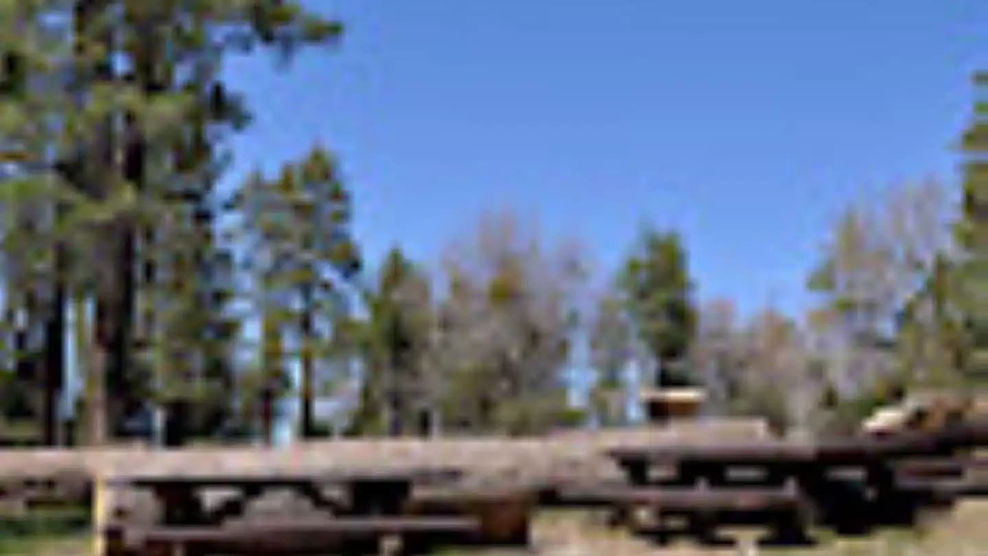 TENT PEG GROUP campground in California