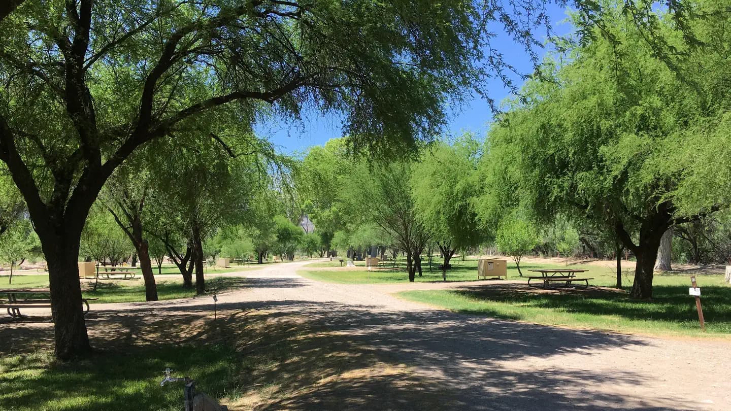 Cottonwood (Big Bend, TX) campground in Texas