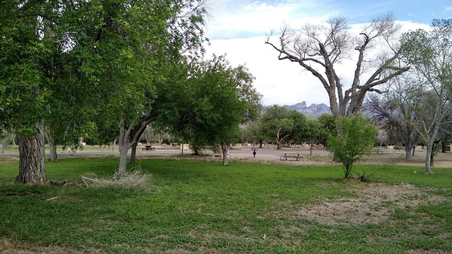 Rio Grande Village Group Campground (Big Bend, TX) campground in Texas