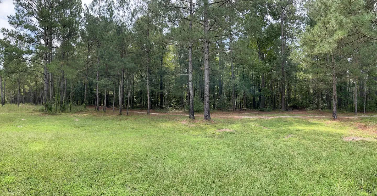 Longleaf Campground campground in South Carolina