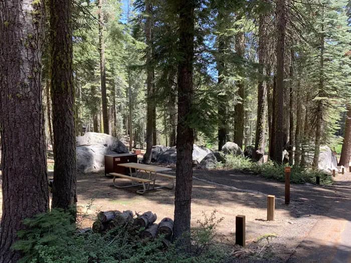 Crane Flat Campground campground in California