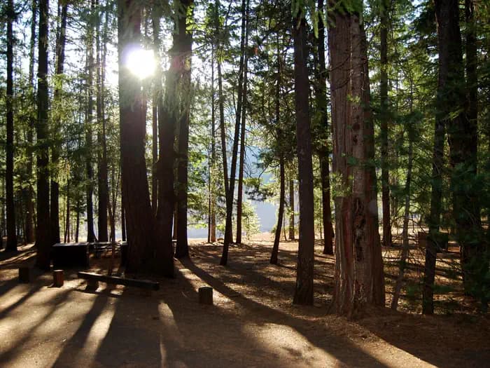 HAYWARD FLAT campground in California