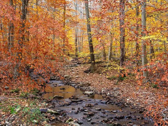 OWENS CREEK CAMPGROUND campground in Maryland