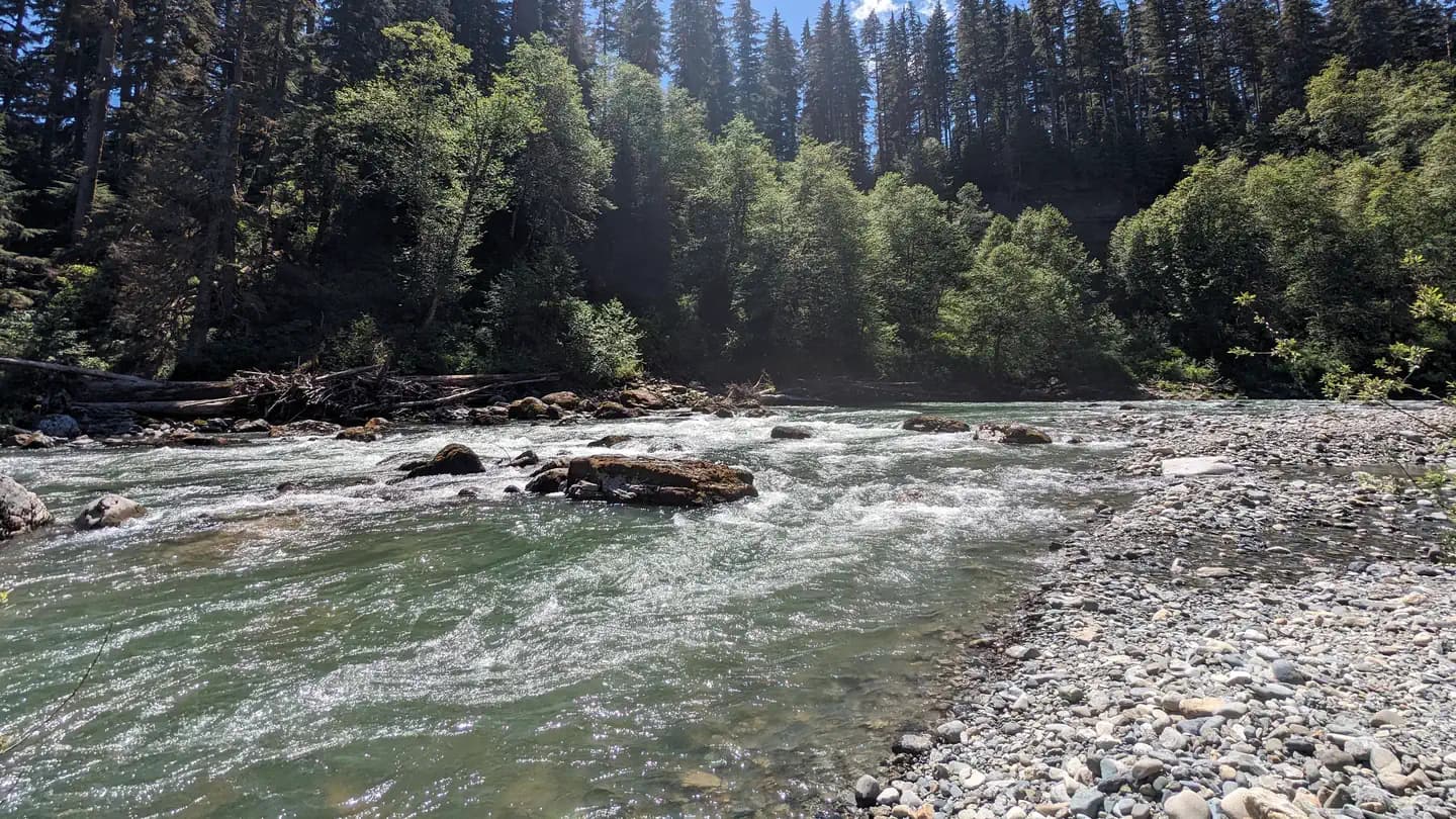 Wiley Creek Group Camp campground in Washington