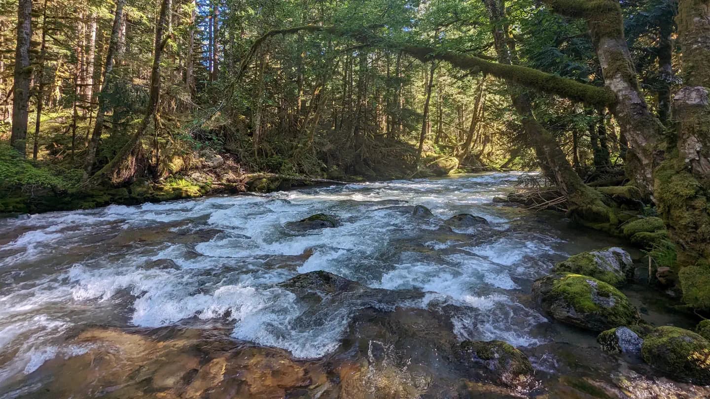 BUCK CREEK CAMPGROUND campground in Washington