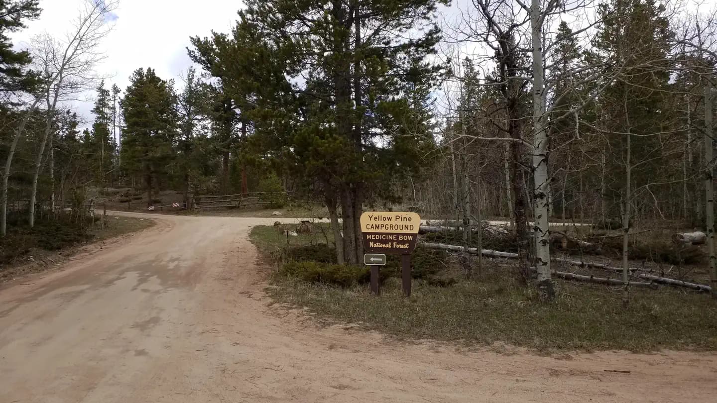 Yellow Pine Campground (WY) campground in Wyoming
