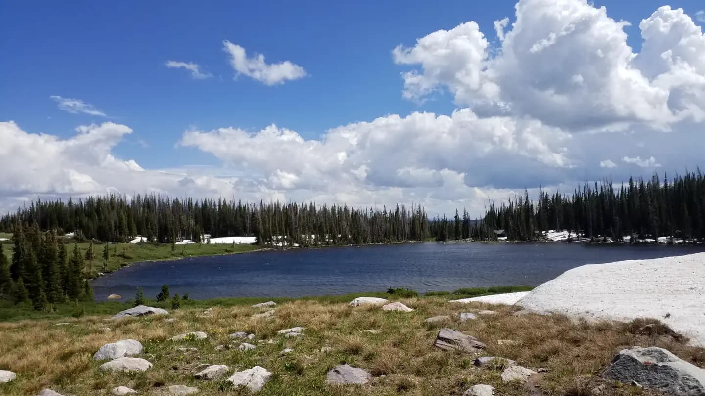 Brooklyn Lake Campground campground in Wyoming