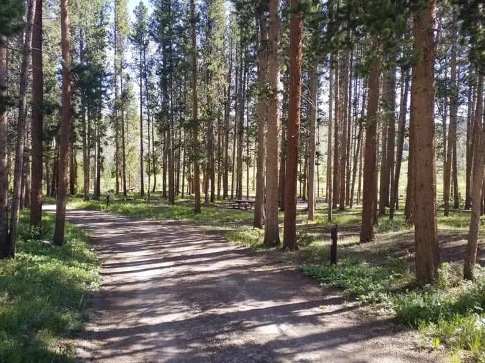 Pelton Creek campground in Wyoming