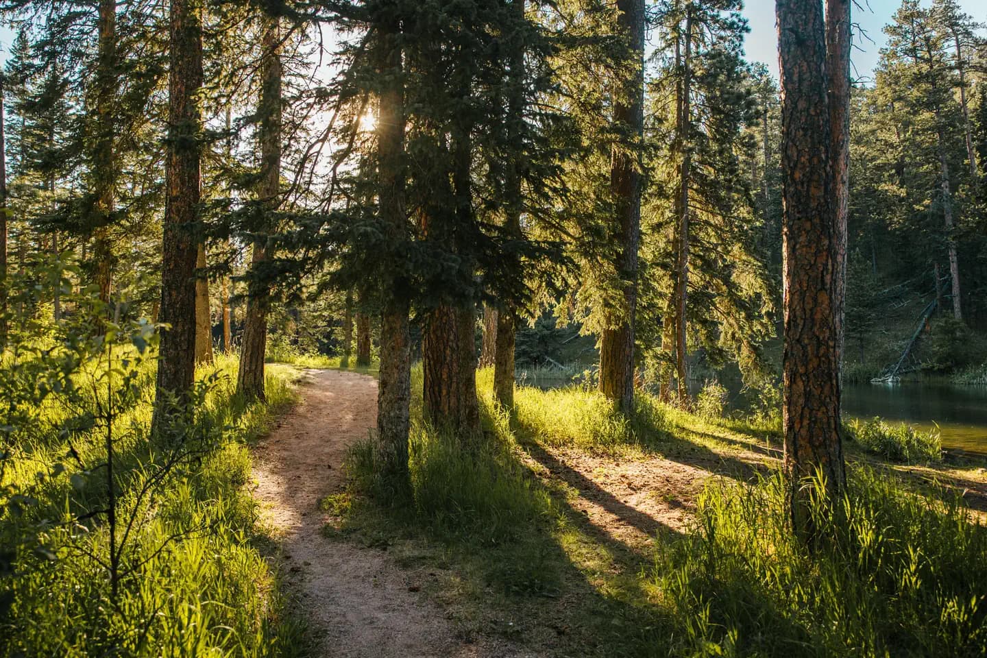Dalton Lake Campground