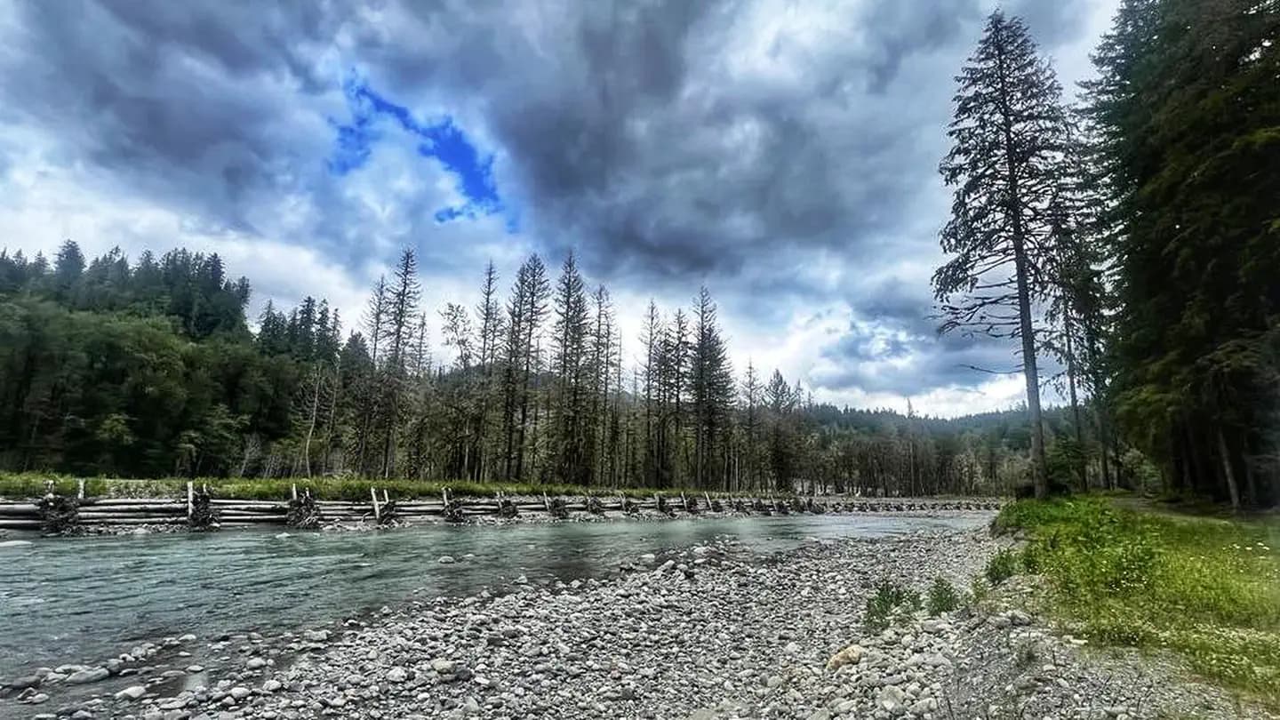 Gold Basin Campground campground in Washington