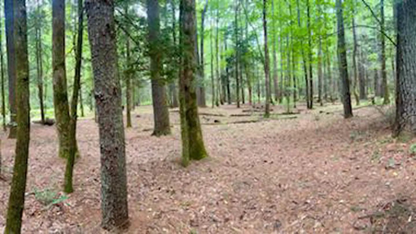 Basin Cove Backcountry Camping campground in North Carolina