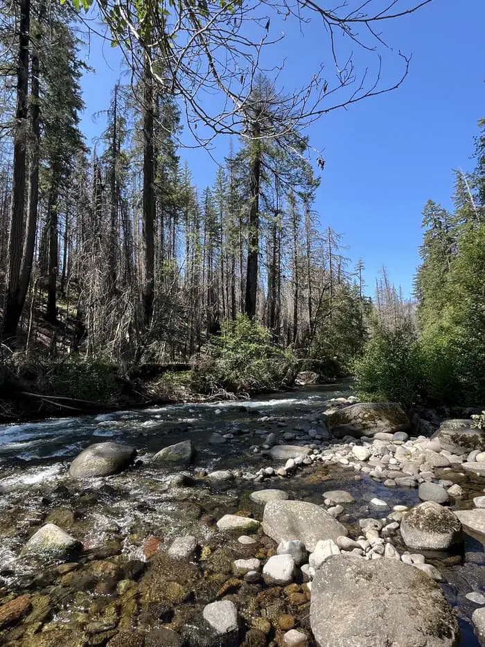BREITENBUSH CAMPGROUND campground in Oregon