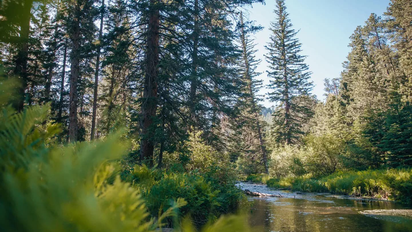 Boxelder Forks Campground campground in South Dakota
