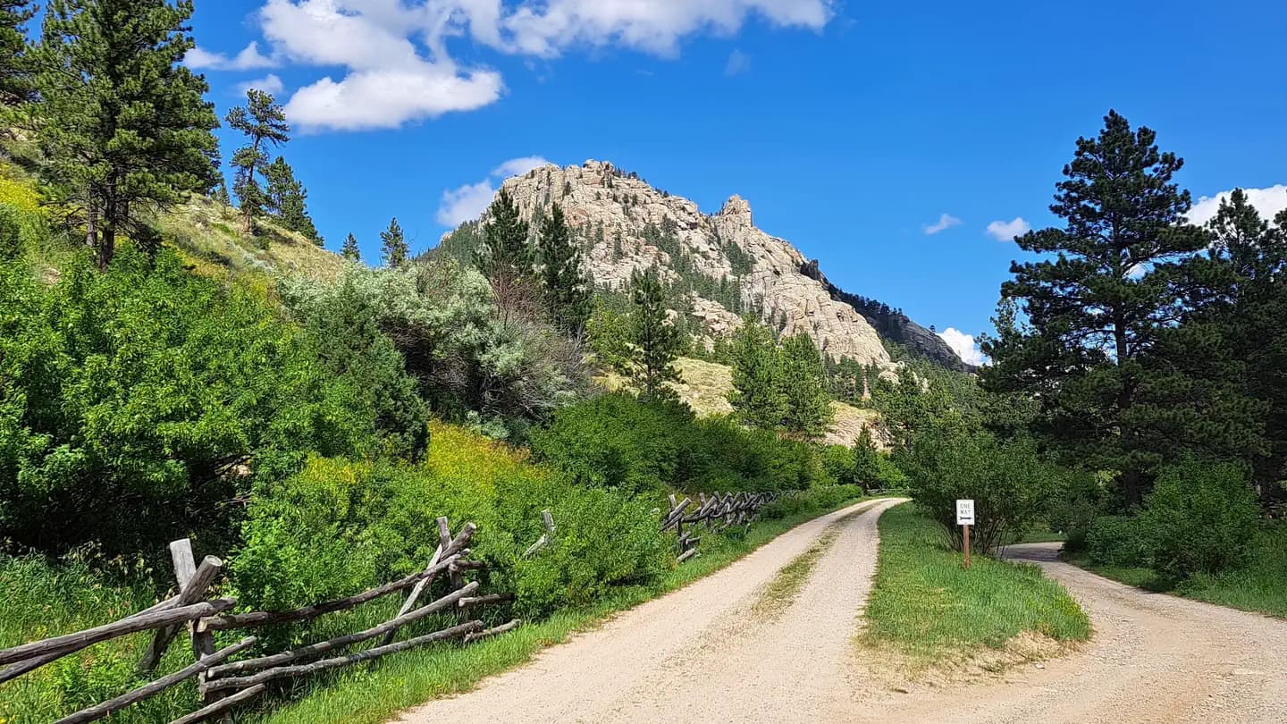 Curtis Gulch Campground campground in Wyoming