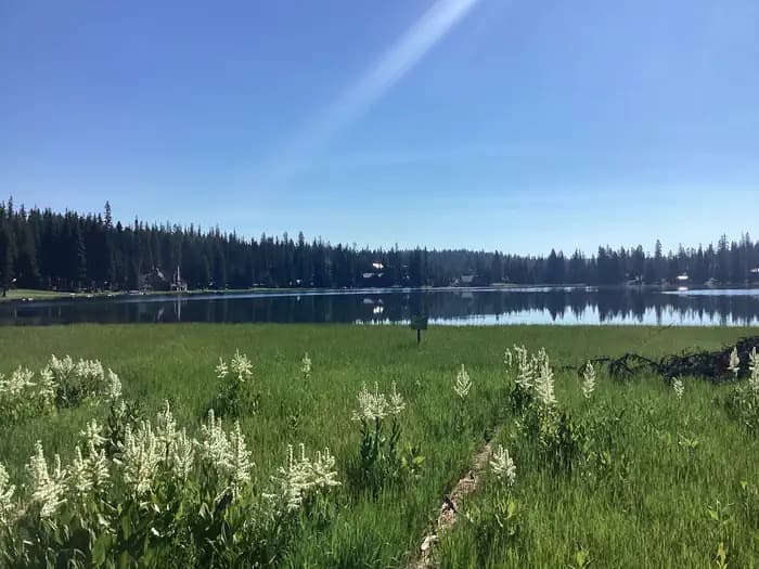 Woodward Campground campground in Washington