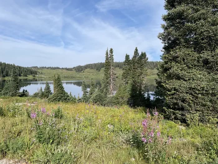 Deep Lake Campground campground in Colorado