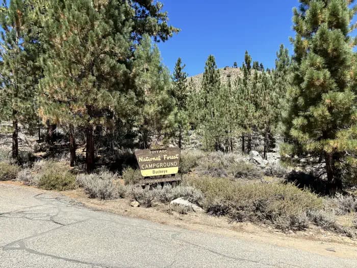 Buckeye Campground