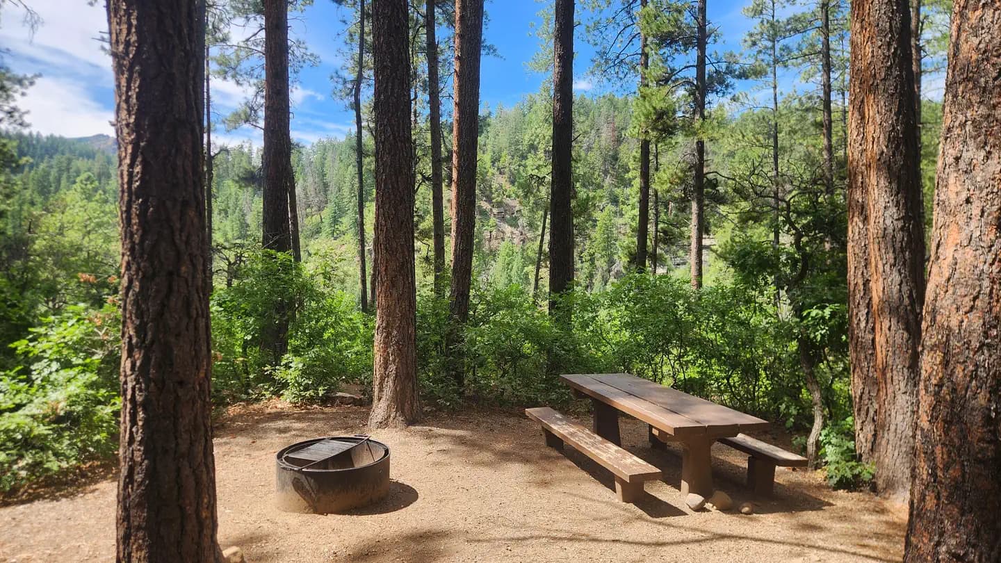 JUNCTION CREEK CAMPGROUND campground in Colorado