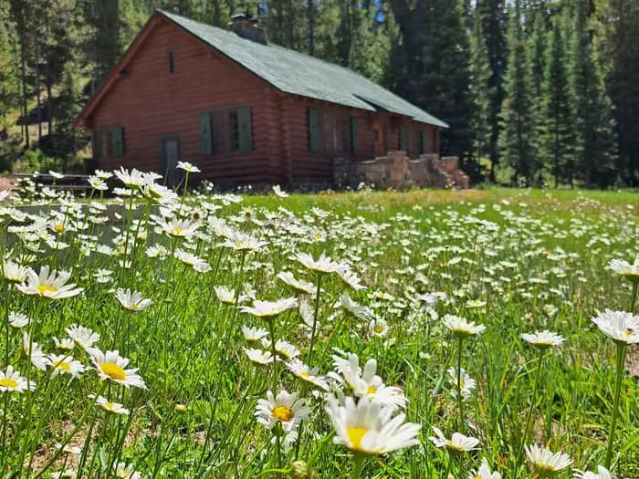 LA PRELE GUARD STATION campground in Wyoming