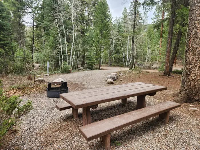 VALLECITO CAMPGROUND campground in Colorado