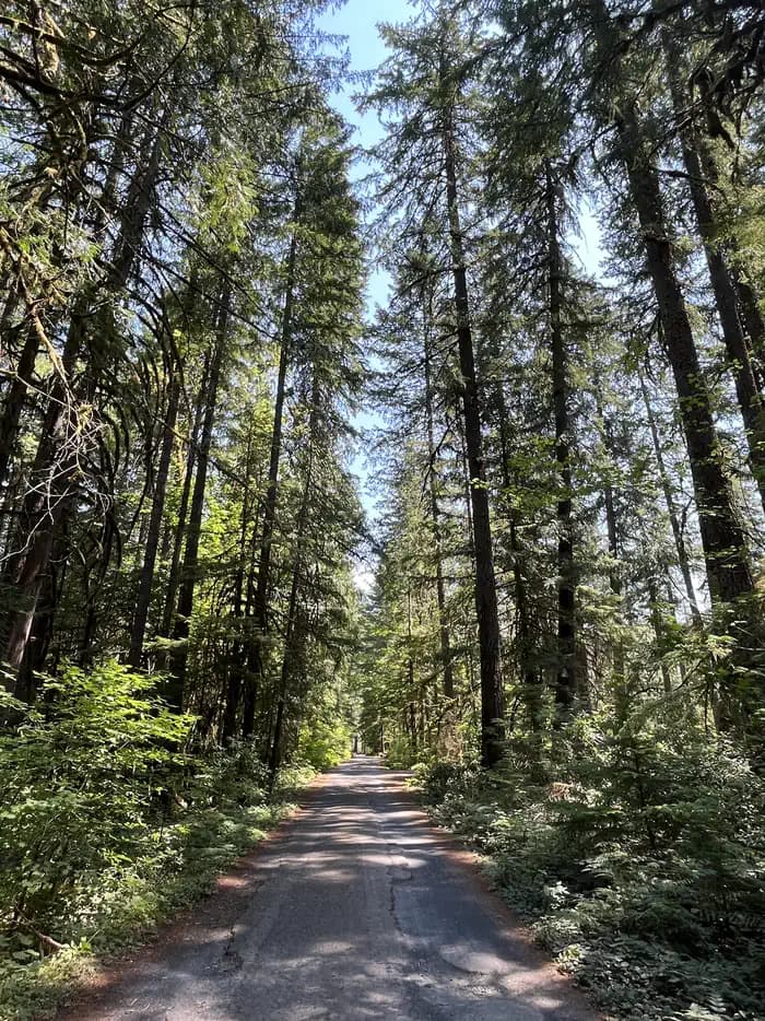 WHISPERING FALLS CAMPGROUND campground in Oregon