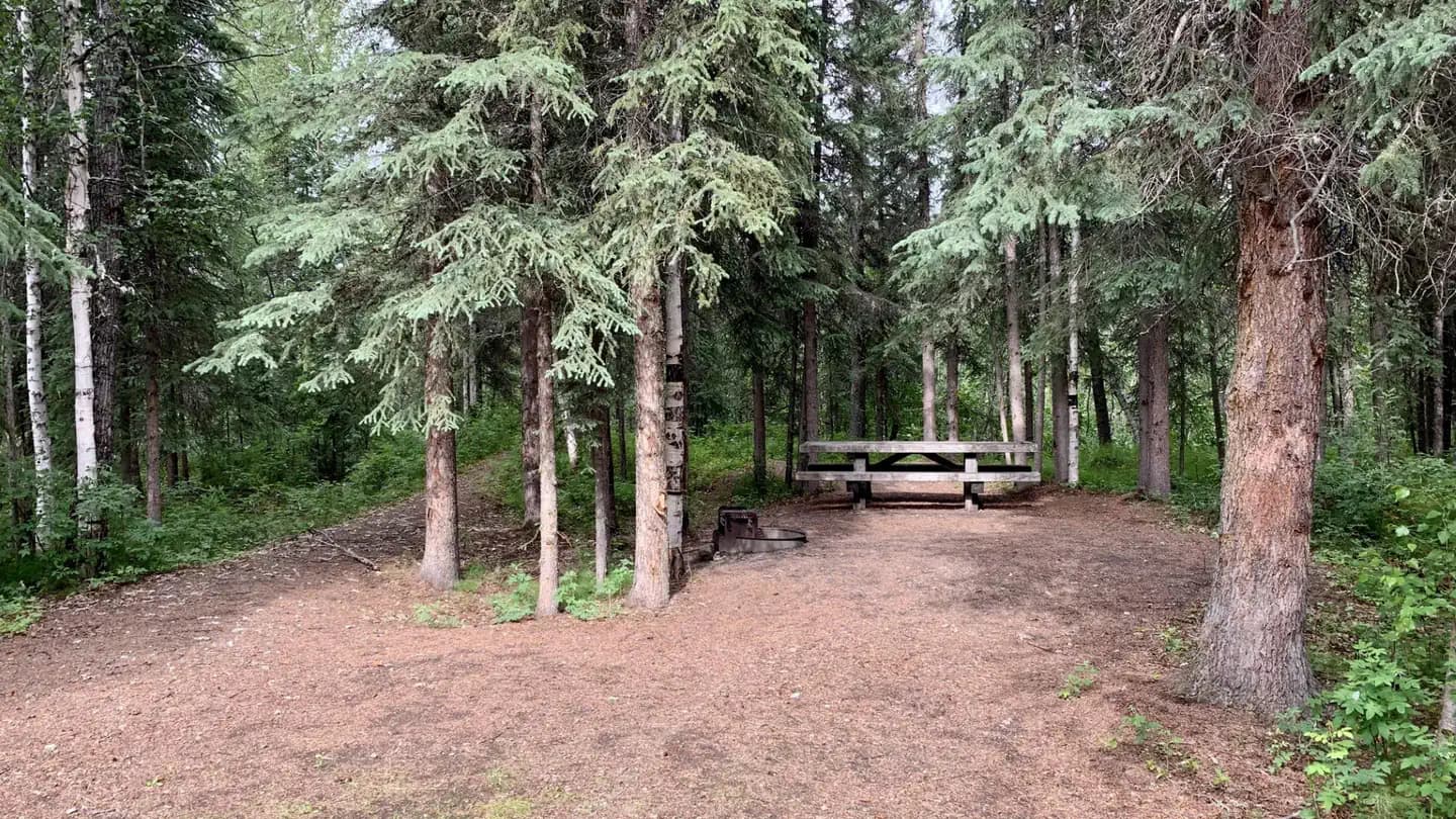 Cripple Creek Campground campground in Alaska
